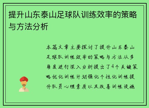 提升山东泰山足球队训练效率的策略与方法分析