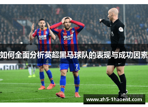 如何全面分析英超黑马球队的表现与成功因素