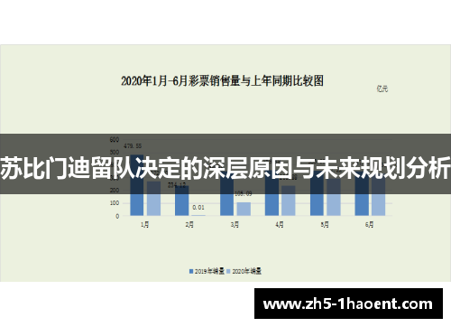 苏比门迪留队决定的深层原因与未来规划分析