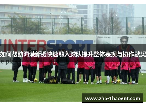 如何帮助海港新援快速融入球队提升整体表现与协作默契