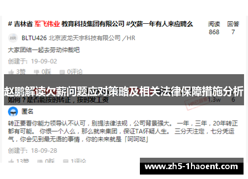 赵鹏解读欠薪问题应对策略及相关法律保障措施分析