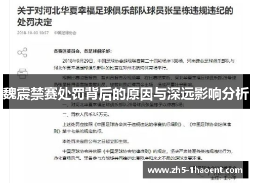 魏震禁赛处罚背后的原因与深远影响分析