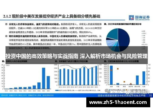 投资中国的高效策略与实战指南 深入解析市场机会与风险管理