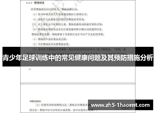青少年足球训练中的常见健康问题及其预防措施分析
